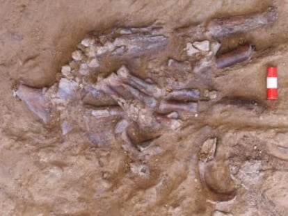 El hallazgo de un nuevo esqueleto en el yacimiento iraquí de Shanidar reafirma la idea que los neandertales enterraban a sus muertos con rituales sofisticados
