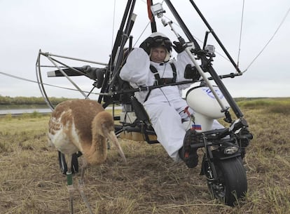 Putin sobre un ala delta motorizada se dispone a seguir el vuelo de las cigüeñas en su ruta migratoria hacia Asia.