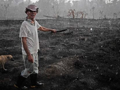 Un agricultor brasileño y su perro caminan por una zona quemada de la selva amazónica, cerca de Porto Velho (Brasil).