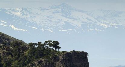 Vista panor&aacute;mica de las monta&ntilde;as nevadas en la sierra de Cazorla.