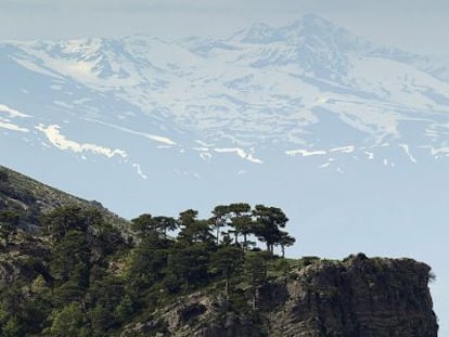 Vista panor&aacute;mica de las monta&ntilde;as nevadas en la sierra de Cazorla.
