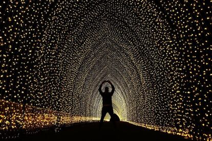 Un hombre toma una foto dentro de la 'catedral de la luz' en el Real Jardín Botánico en Sídney, Australia.