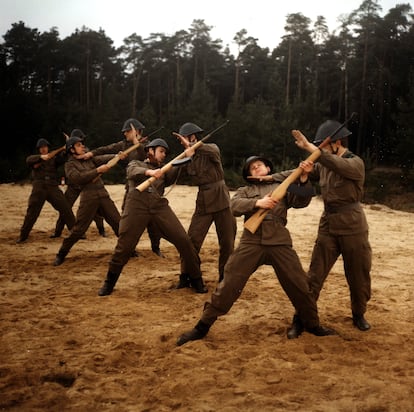 A familiar scene in the forests of Dresden in 1982, when it was still part of East Germany.