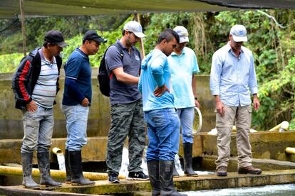 Rodríguez, Pérez, Libreros y otros trabajadores observan las truchas de un criadero.
