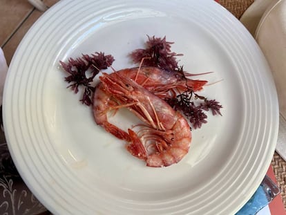 Gambas rojas a la plancha, en la terraza Carmona en Vera (Almería) J.C. CAPEL