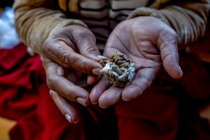 Mushrooms to be consumed by participants in a psychedelic therapy session.