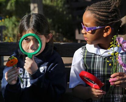 Unos estudiantes mirando flores a través de una lupa.
