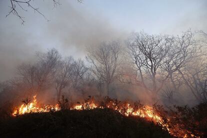 Cantabria amaneció el domingo con 15 focos activos que se incrementaron a 68 a última hora de la tarde. En la imagen, incendio en los montes próximos a la localidad cántabra de Bárcena Mayor.