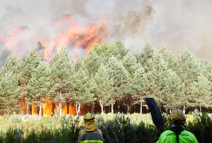 Un equipo de brigadistas intenta contener el incendio en la zona limítrofe entre Ourense y Zamora. 