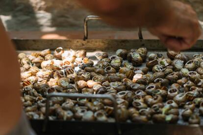Desde 1980, cada mes de mayo la ribera del río Segre se convierte en el escenario del Aplec del Caragol, una fiesta popular en la que se cocinan toneladas de este molusco.