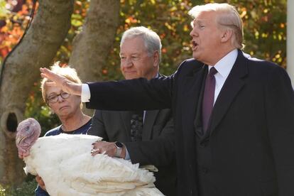 Siguiendo la tradición presidencial, Donald Trump 'indulta' a un pavo en la Casa Blanca con motivo de la celebración del Día de Acción de Gracias.