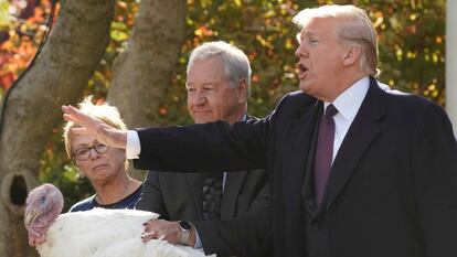 Siguiendo la tradición presidencial, Donald Trump 'indulta' a un pavo en la Casa Blanca con motivo de la celebración del Día de Acción de Gracias.