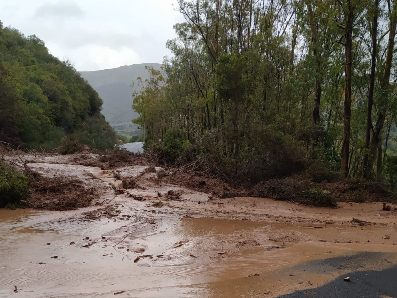 Ronda se prepara para lluvias de hasta 100 litros por metro cuadrado