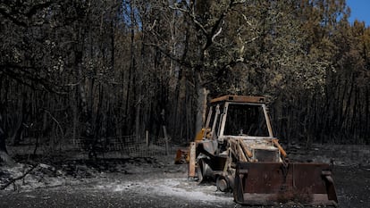 La reactivación en algunas zonas del incendio del suroeste de Francia obliga a evacuar a 4.000 turistas