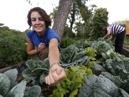 Aprendices de hortelanos en el huerto ciudadano ubicado en el parque del Retiro.