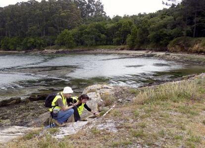 Arque&oacute;logos del CSIC buscan vestigios de presencia humana desde la prehistoria en la isla de Ons.