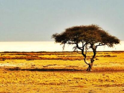 Namibia, con apenas dos millones de habitantes y 800.000 kilómetros cuadrados de superficie, es un puro desierto. Sin embargo es uno de los destinos de moda. Y no hay viajero que no vuelva encandilado. ¿Por qué? En este vídeo trato de explicarlo