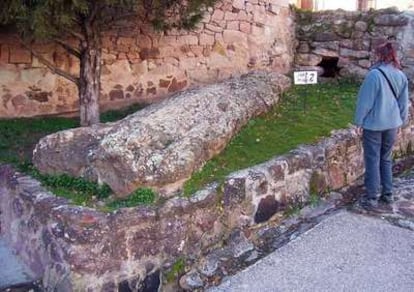 Árbol fósil en Hacinas (Burgos).