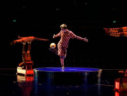 Un grupo de acróbatas del espectáculo Messi by Cirque du Soleil que se estrena mundialmente en el Parc del Fòrum de Barcelona.