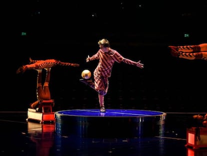 Un grup d'acròbates de l'espectacle Messi by Cirque du Soleil que s'estrena mundialment al Parc del Fòrum de Barcelona.