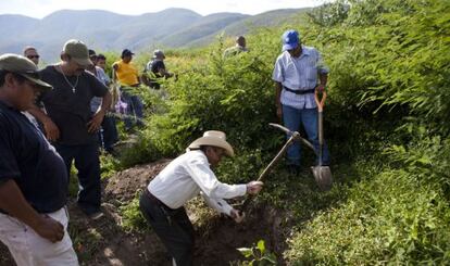 Comunitarios de Guerrero buscan fosas.