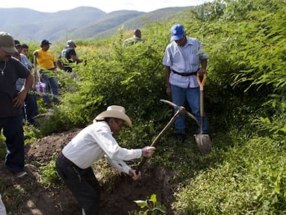 Moradores de Guerrero procuram covas.