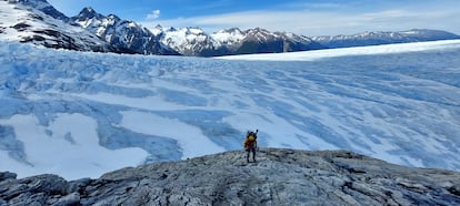 Perito Moreno