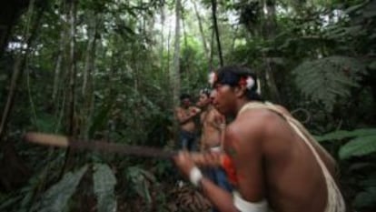 Los indios waorani habitan la reserva de Yasuní en la amazonía ecuatoriana.