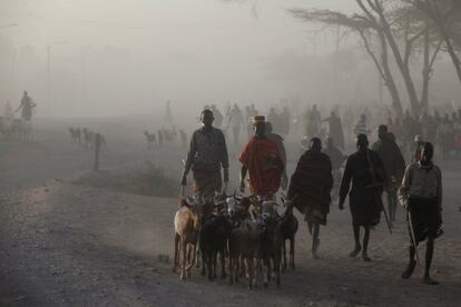 Los turkana habitan en una de las regiones más míseras e inhóspitas de Kenia. En 2012 se descubrió crudo en su territorio y ahora la población espera que el inicio de la producción en 2021 alivie su pobreza. En la imagen, varios ganaderos llevan a sus cabras al mercado de ganado de Lodwar, la capital de la región.