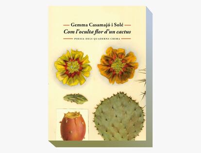 Portada de 'Com l'oculta flor d'un cactus', de Gemma Casamajó i Solé.