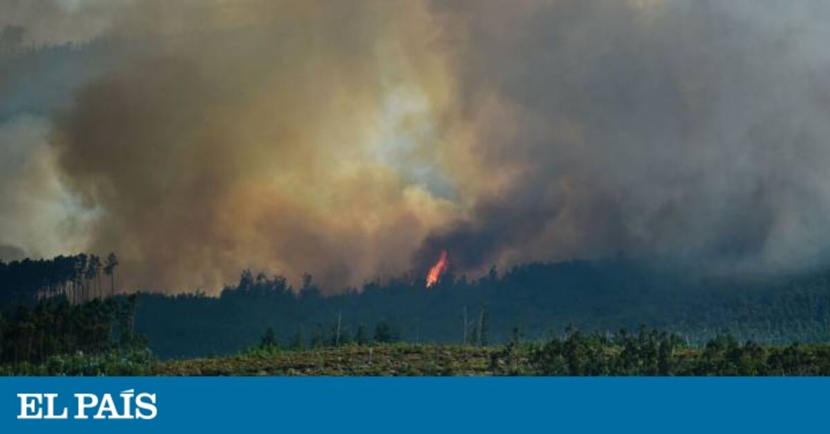 Un 30% del incendio de Portugal sigue sin control por el calor y el ...