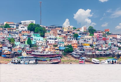 En Manaos, capital de la Amazonía brasileña, no solo proponen una aventura ecológica. Todo es un gran espectáculo que merece la pena contemplar, al menos una vez en la vida. La ciudad más grande de la región, en la curiosa confluencia del río Negro con el parduzco río Solimões, como llaman aquí al curso superior del Amazonas, está rodeada de la mayor selva tropical del mundo donde viven numerosas especies únicas y en peligro de extinción.
Manaos se prepara para albergar, en el 2025, la Conferencia de las Naciones Unidas sobre el Cambio Climático. Junto con Belem, la otra metrópolis amazónica, Manaos es desde hace tiempo un foco clave en la actual lucha por salvar la selva amazónica. Mientras las ONG, incansables, trabajan para limpiar los igarapes (arroyos y pequeños ríos) de la ciudad y combatir la deforestación, la capital del Amazonas brasileño se prepara para librar batalla junto al turismo sostenible y las iniciativas indígenas.
En la ciudad, la Reserva Forestal Adolpho Ducke protege el bosque urbano más grande del mundo y, al otro lado del río negro, el Parque Ecológico Janauari tiene más de 126 km² de bosque inundado, con nenúfares gigantes y una fauna poco común. Ambos son un buen aperitivo de los 6,7 millones de km² de selva que los rodea.
 