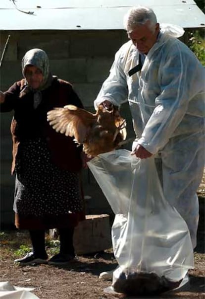 Un veterinario trabaja en una pequeña granja de Macedonia puesta en cuarentena ante la sospecha de que esté infectada con la gripe aviar.