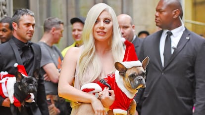 Lady Gaga (y a la izquierda su expareja Taylor Kinney), con sus bulldog franceses en diciembre de 2015 en Nueva York.