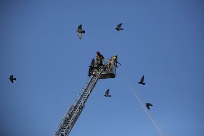 Una pareja de bomberos refresca el edificio.