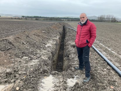 Carlos Sanz, junto a la zanja de un 1,5 metros de profundidad y 250 metros de longitud abierta en Pintia.