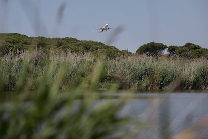Un avión sobrevuela la laguna de La Ricarda en su despegue.