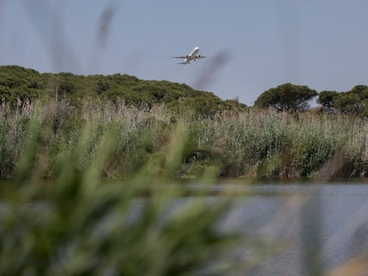 Un avión sobrevuela la laguna de La Ricarda en su despegue.