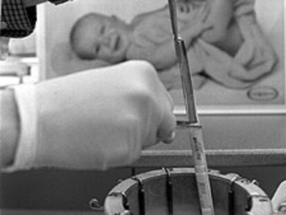 Trabajo en un laboratorio de inseminación artificial.