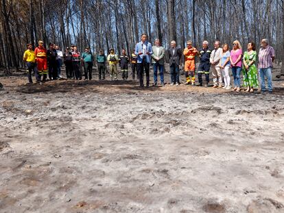Pedro Sánchez durante su visita, este lunes, a las zonas afectadas por el incendio forestal de Bejís.