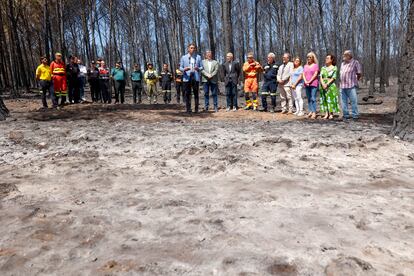 Pedro Sánchez durante su visita, este lunes, a las zonas afectadas por el incendio forestal de Bejís.