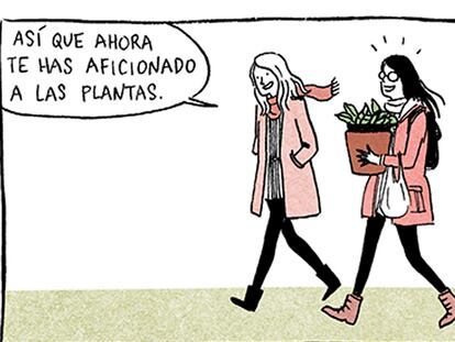 La difícil tarea de cuidar una planta