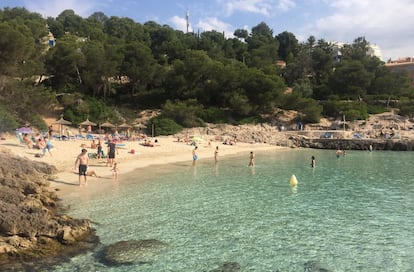 Los mallorquines han madrugado para estrenar la Fase 2 que permite el baño en las playas de la isla. Cala Contesa en Calviá ya tenía preparado el servicio de hamacas y sombrillas y el chiringuito abierto con los primeros clientes. En la playa vecina de Cala Xinxell los servicios de limpieza retiraban las algas y residuos acumulados en la arena.