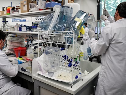 Varios investigadores de la empresa donostiarra Viralgen, elegida para fabricar una vacuna contra el coronavirus que está desarrollando el Massachusetts General Brigham Hospital (MGB).