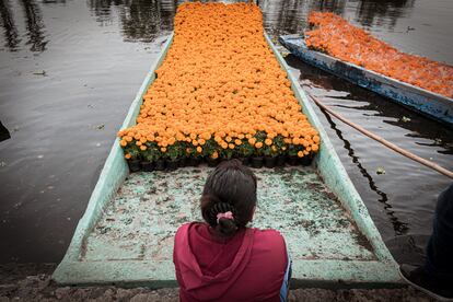 La señora Rufina, de 43 años, espera sentada a que llegue la canoa que transporta flores de cempasúchil al embarcadero de Puente de Urrutia.