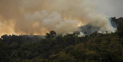 Incendio en el bosque de Pozuzo, en Perú.