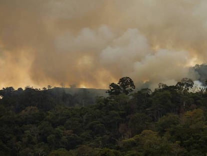 Incendio en el bosque de Pozuzo, en Perú.