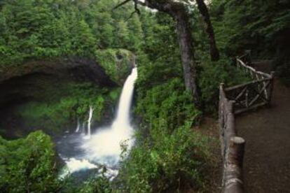 Cascada en la reserva ecológica de Huilo-Huilo, en los alrededores de Valdivia (Chile).