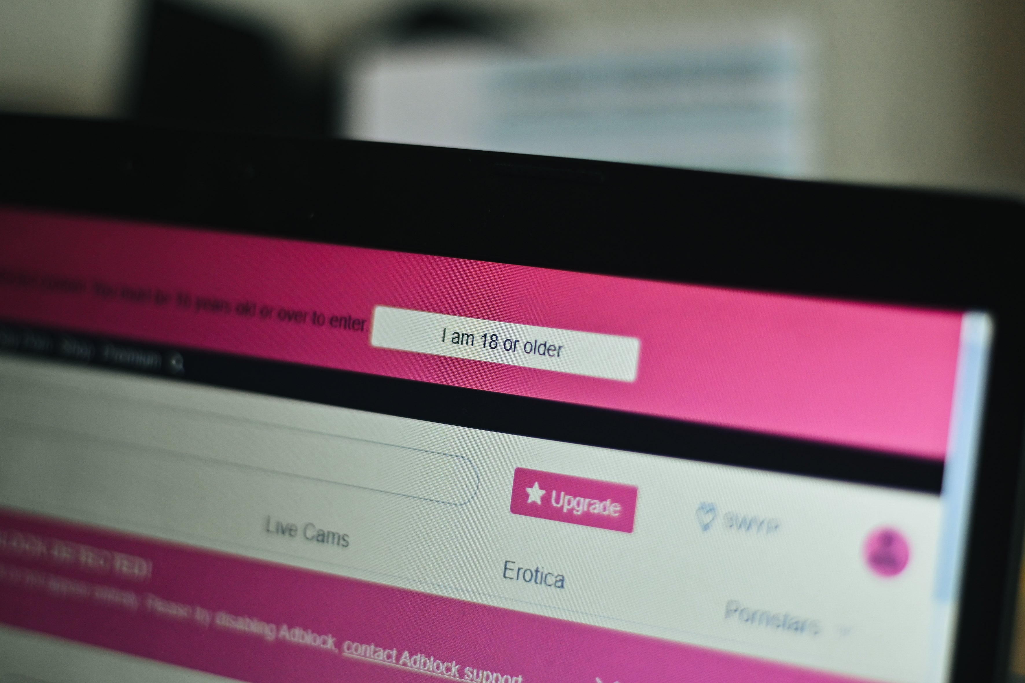 ‘Pornoapagón’ en Francia: las principales webs se rebelan contra la normativa francesa de verificación de edad