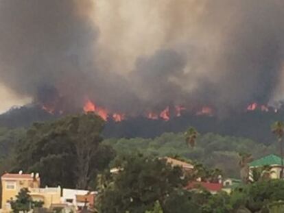 The wildfire near the Ceuta migrant center on Monday.